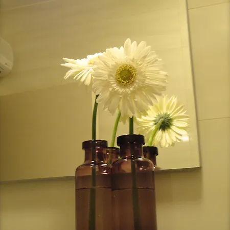 Apartamento Sunrise